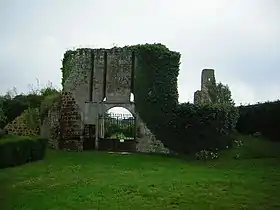 Les ruines du château de Brosse en 2007.