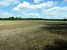 Photographie en couleurs d'une vaste étendue d'herbe rase limitée au loin par des arbres.