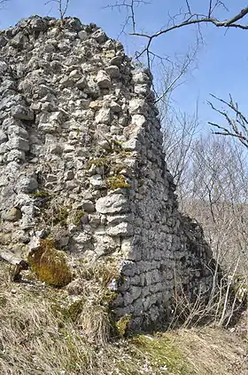 Image illustrative de l’article Château de Cessens-Vieux