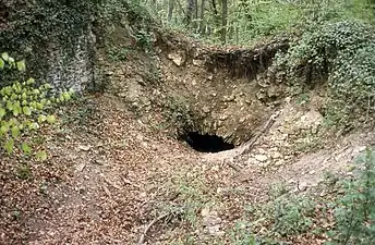 Vestiges de la cave nord