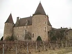 Vignes en hiver devant le château de Corcelles-en-Beaujolais.