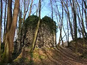 Image illustrative de l’article Château de Gières