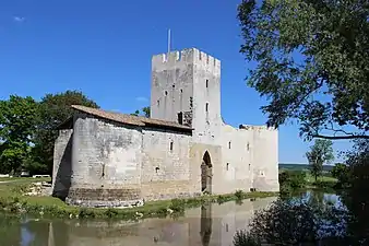 Ruines du château de Gombervaux.