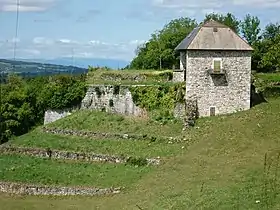Image illustrative de l’article Château de Gruffy