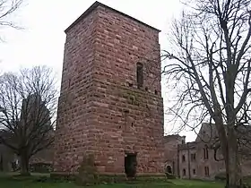 Image illustrative de l’article Château de Lutzelbourg (Lutzelbourg)
