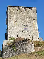 Le château côté ouest avec son enceinte basse dont une partie s'est effondrée pendant le siège de 1575