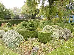 Topiaires des jardins du château.
