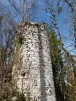 Une vue des ruines du château de Montdidier.