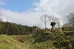 Vue du château et de la forêt de Montfort en arrière-plan.