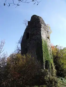 Image illustrative de l’article Château de Montjoie-le-Château