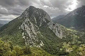 Image illustrative de l’article Forêt de Boucheville