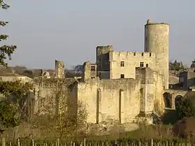 Image illustrative de l’article Château de Rauzan