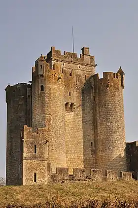 Le château de Romefort en 2011.