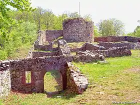 Image illustrative de l’article Château de Rougemont