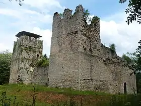 Image illustrative de l’article Château de Thol