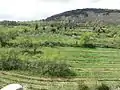 Vue sur le mont Coudour et terres cultivées