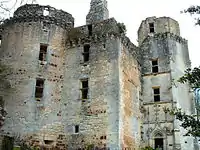 Les ruines du château.