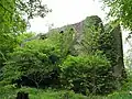 Le Château de l’Œdenbourg (petit-Koenigsbourg) dans la végétation.