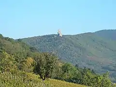 La crête des Vosges et le château de l'Ortenbourg à Scherwiller, au sud.