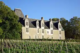 Château de la Cour-au-Berruyer