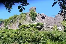 Ruines du château du Frankenbourg.