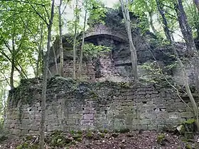 Ruine du Château du Herrenstein.