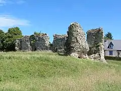 Ruines du Château de Quesney.
