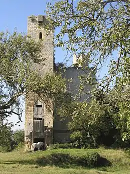 Château du Tauzia.