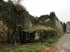 Vestiges / ruines du château fort du XIVe siècle