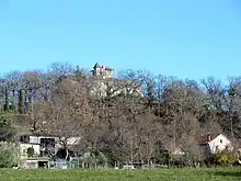 Le château sur son oppidum.