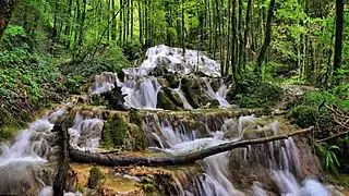 La cascade tufière de Vergetolle.