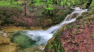 La source bleue de Vergetolle.