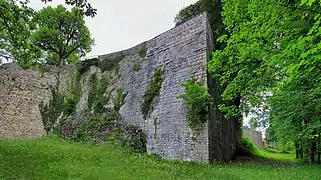 Le mur d'enceinte.