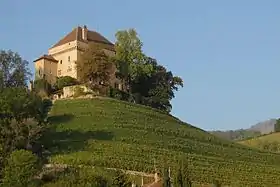 Château du Châtelard près de Clarens