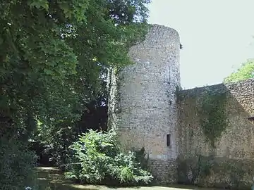 Photo d'une partie des Remparts de Chatillon-Coligny