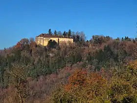 Châtillon-sur-Lison, le château