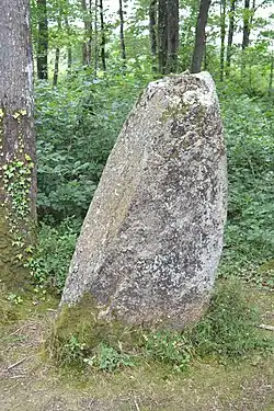 Image illustrative de l’article Menhir de la Pierre Levée (Chéméré)