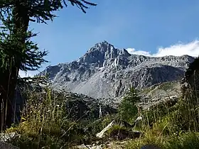 Vue de la face sud du Chüebodenhorn.