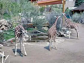 Image illustrative de l’article Zoo de Cheyenne Mountain