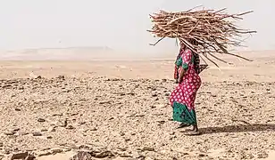 Une femme ramassant du bois à Tigui.