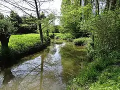 à Chailly-en-Gâtinais