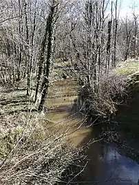 Le Chalaure au pont du Genêt.