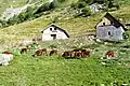 Chalets d'alpage à la Lauzière d'en Bas