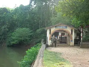 Kavu Chama