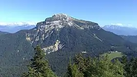 Vue de Chamechaude depuis l'oratoire d'Orgeval sur le Charmant Som ; la partie rocheuse dans la forêt est le Grand Ravin.