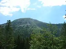 Montagne dominant une forêt de conifères.