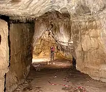 Réseau du Champagne de la grotte des Chamois.