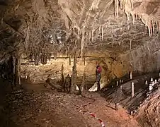 Réseau du Champagne de la grotte des Chamois.