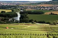 Photographie en couleur montrant un paysage verdoyant de coteaux en Champagne, surplombant une rivière au loin.