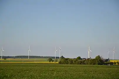 Paysage de la Champagne berrichonne, dans le nord, entre Reuilly et Vatan.